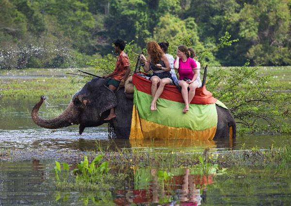 Elephant Riding