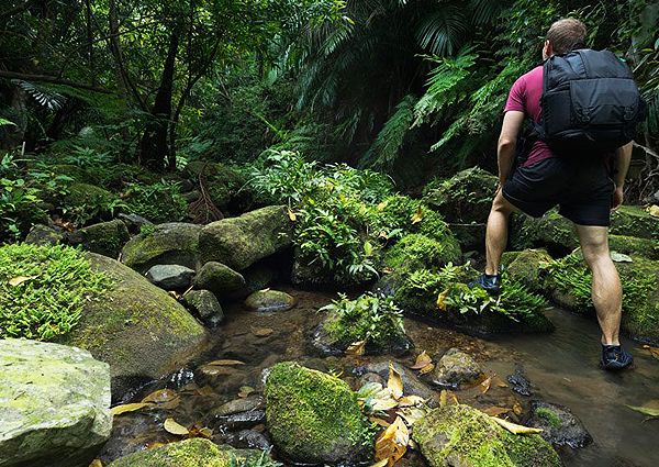 Udawattekele Sanctuary